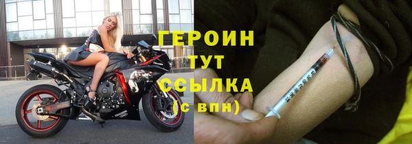 гидра Горняк