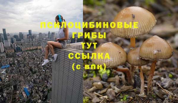 mdma Горнозаводск