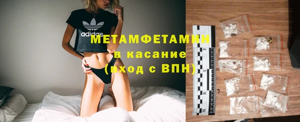 гидра Горняк