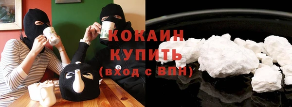 гидра Горняк