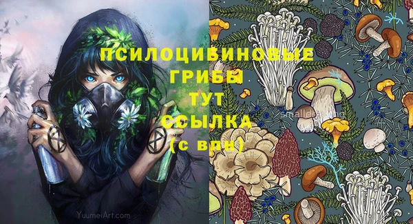 mdma Горнозаводск