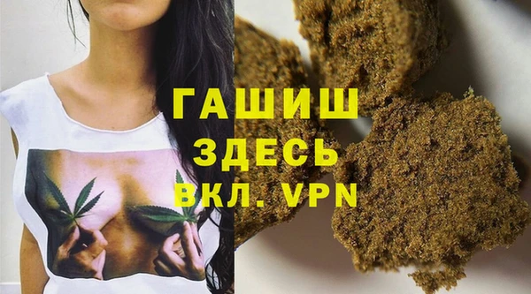 гидра Горняк