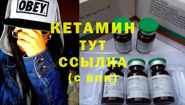 гидра Горняк
