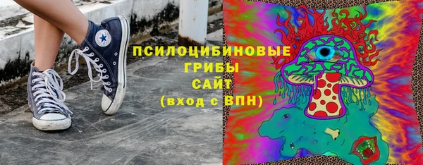 гидра Горняк