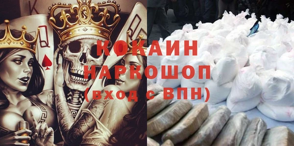 индика Березники