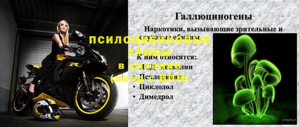 гидра Горняк