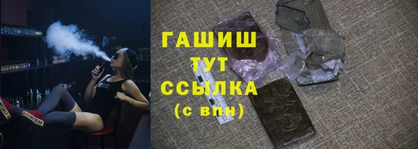 гидра Горняк