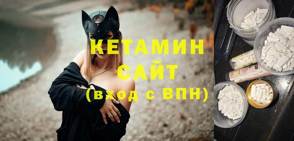 гидра Горняк