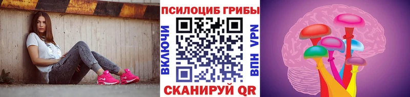 купить наркотик  Елабуга  Псилоцибиновые грибы MAGIC MUSHROOMS 