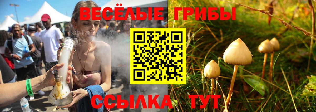 Псилоцибиновые грибы Psilocybine cubensis  Псилоцибиновые грибы мицелий  Елабуга  Вход с VPN 