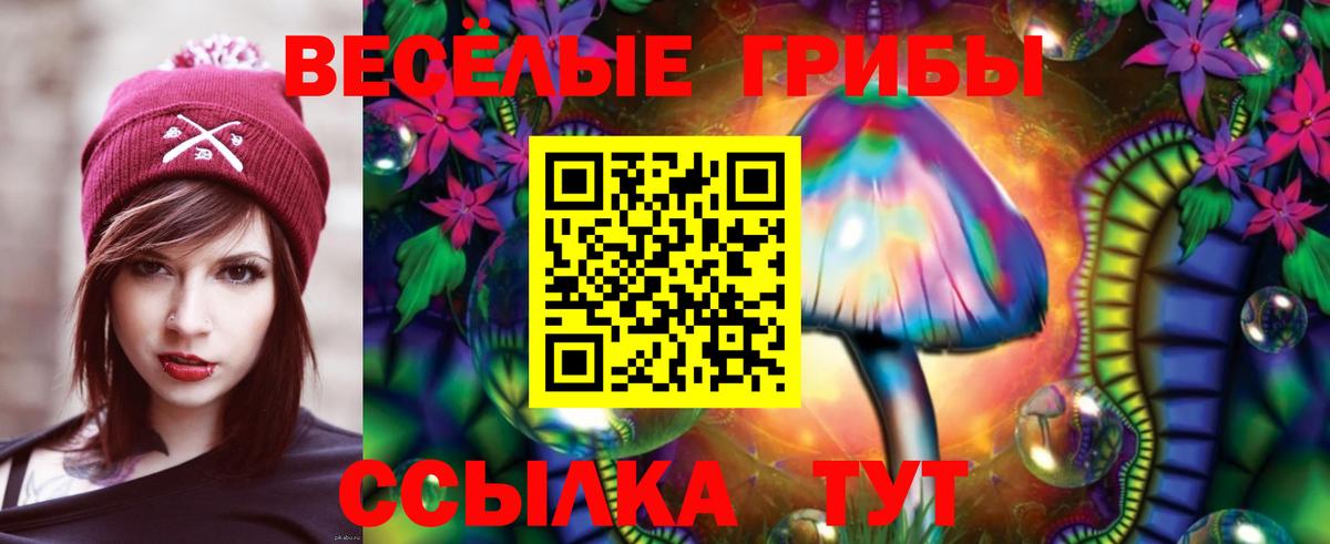 Псилоцибиновые грибы Cubensis  Елабуга 