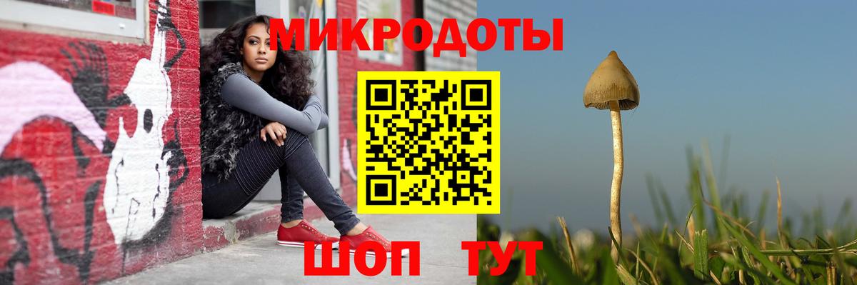 Псилоцибиновые грибы прущие грибы Елабуга